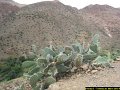 Trekking au Maroc - Voyages Laurence - 099